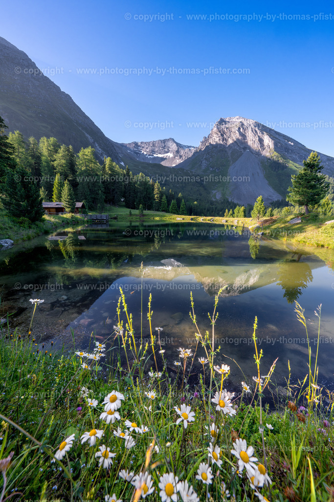 Grieralm Frühling copyright  Thomas Pfister-2 | PHOTOGRAPHY BY THOMAS PFISTER