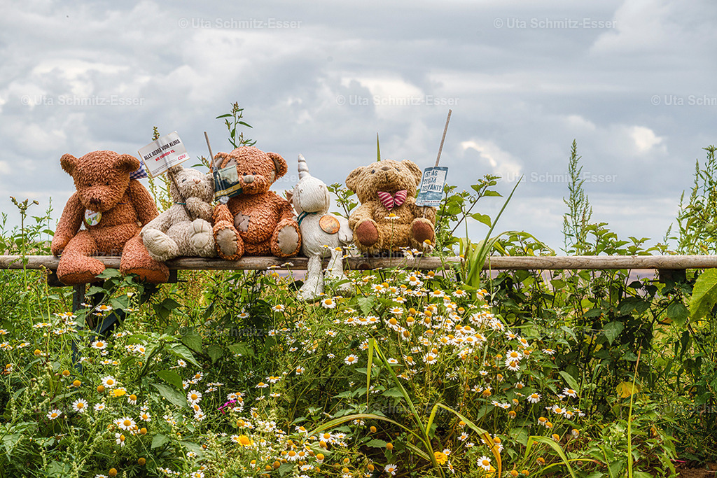 Luetzerath_24 | CEUS Design - Realisiert mit Pictrs.com