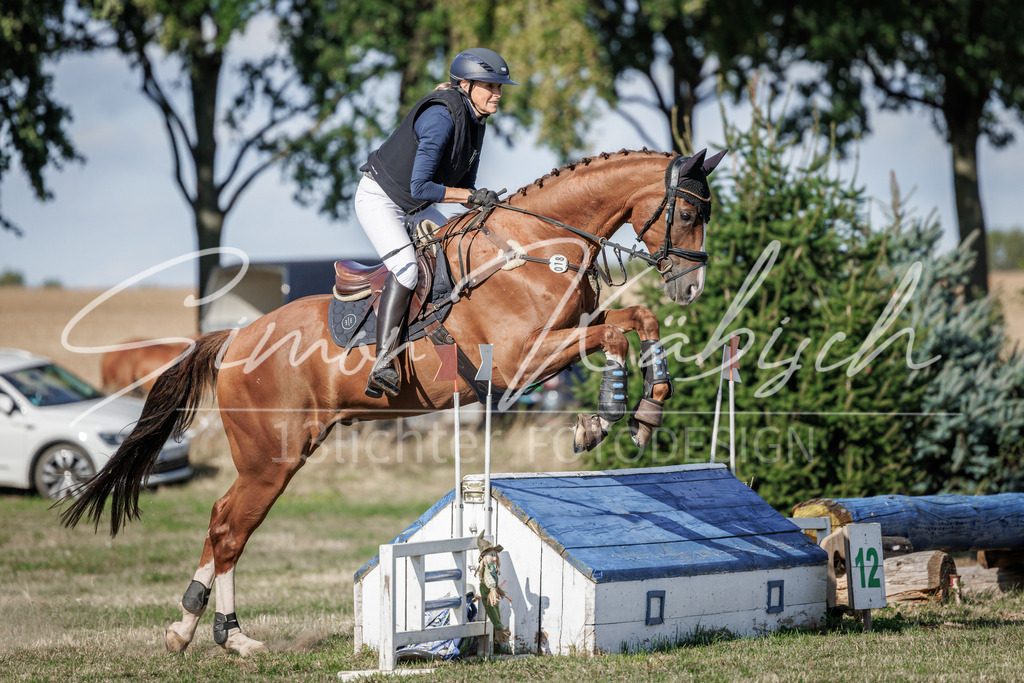 20260905-_3LI0321 | Tierfotografie Pferde, Hunde, Katzen, Haustiere.
Turnierfotografie Reitturniere, Reiten, Springreiten, Dressur in Hanau, dem Main-Kinzig-Kreis und dem Rhein-Main- Gebiet um Frankfurt