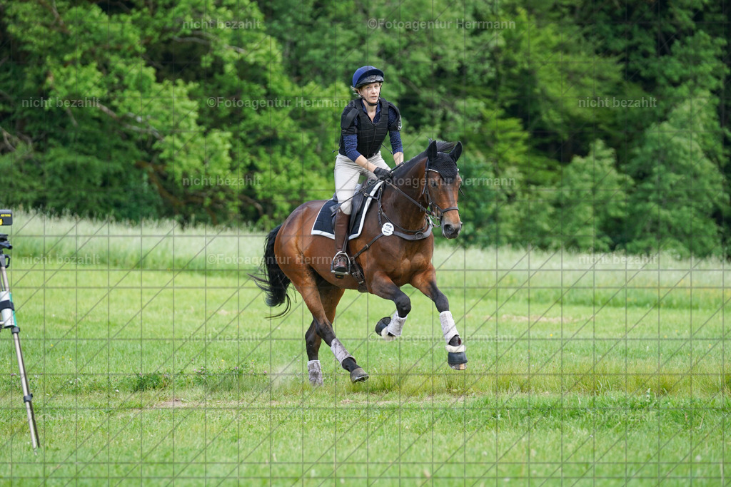 20240518-FAH04187 | Turnierbilder von Niederseon, Turnierfotografen Bayern, Fotoagentur Herrmann, Geländebilder, Reitsportfotografie
