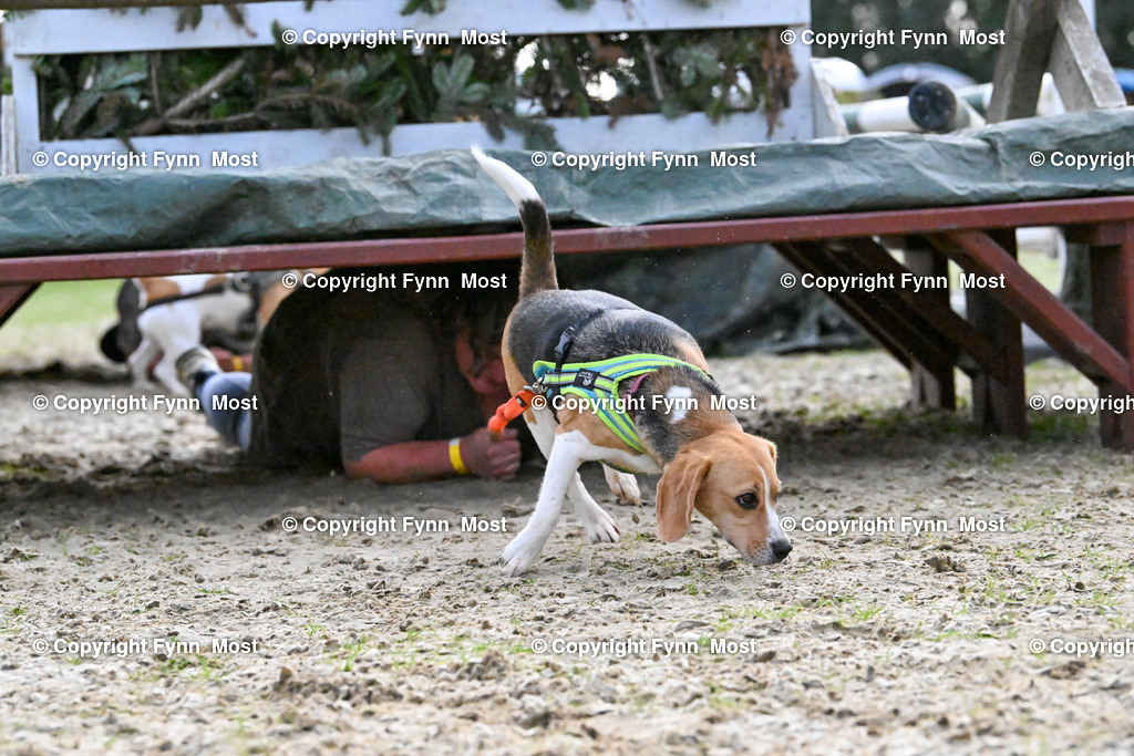 DSC_5378 | Hallo und herzlich Willkommen auf meiner Shop-Seite Fynn Most.

Ich wünsche Dir viel Spaß beim stöbern durch die Bilder, wenn Du Fragen hast oder Bilder vermisst, kannst du mir gerne eine Nachricht schreiben. - Realisiert mit Pictrs.com
