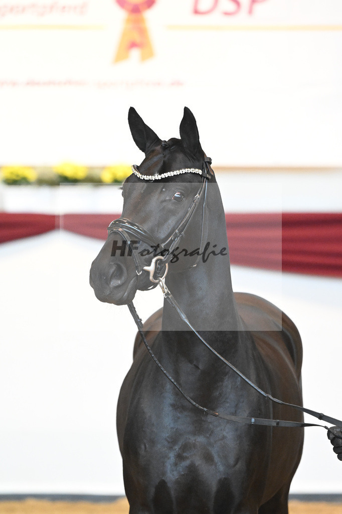 Kat-Nr. 51 v. Toto jr._Winklmaier_66220894 | hf-fotografie - Realisiert mit Pictrs.com