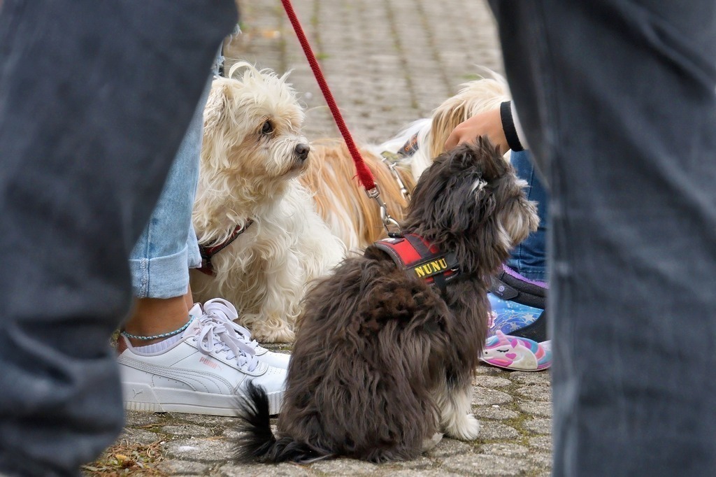 DSC_6168_1386SVR 23.08.23_Nikontop rad | PFALZFOTO - Serena Wobus - Realisiert mit Pictrs.com