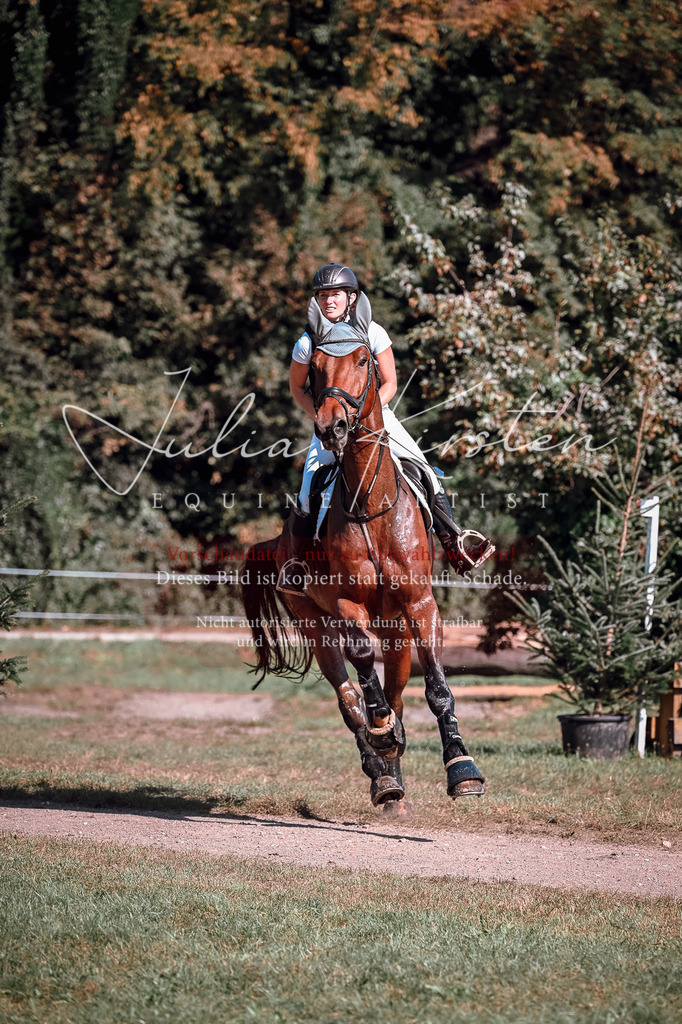 DSC_1008 | Pferde- und Turnierfotografie in Westsachsen. Pferdeportraits, Auftragszeichnungen und intuitive Kunst.