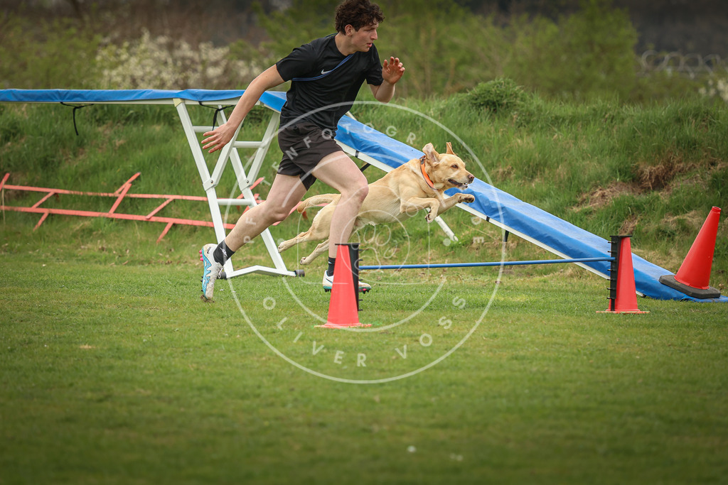 Pfotenfotografie_0L8A0862 | Hundefotografie, Tierfotograf, Pfotenfotografie, Fotoshooting Hund, Hunde Portrait, Hundesport, Hundeportraits, Heideshooting, Hunde, Sportfotograf, Hundefotograf, Turnierhundsport, THS,  - Realisiert mit Pictrs.com