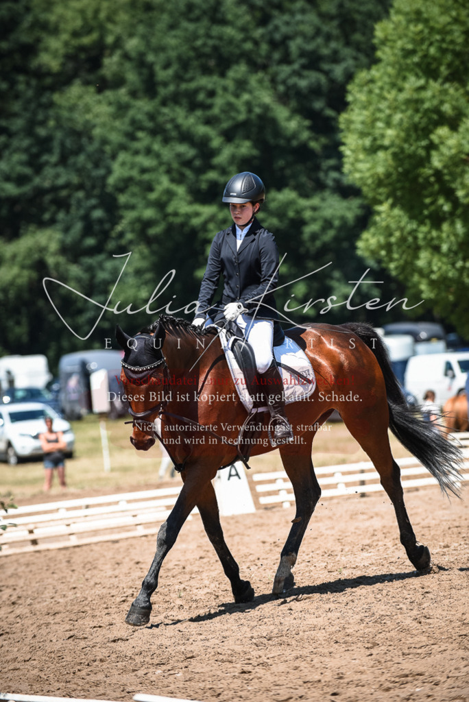 DSC_2737 | Pferde- und Turnierfotografie in Westsachsen. Pferdeportraits, Auftragszeichnungen und intuitive Kunst.
