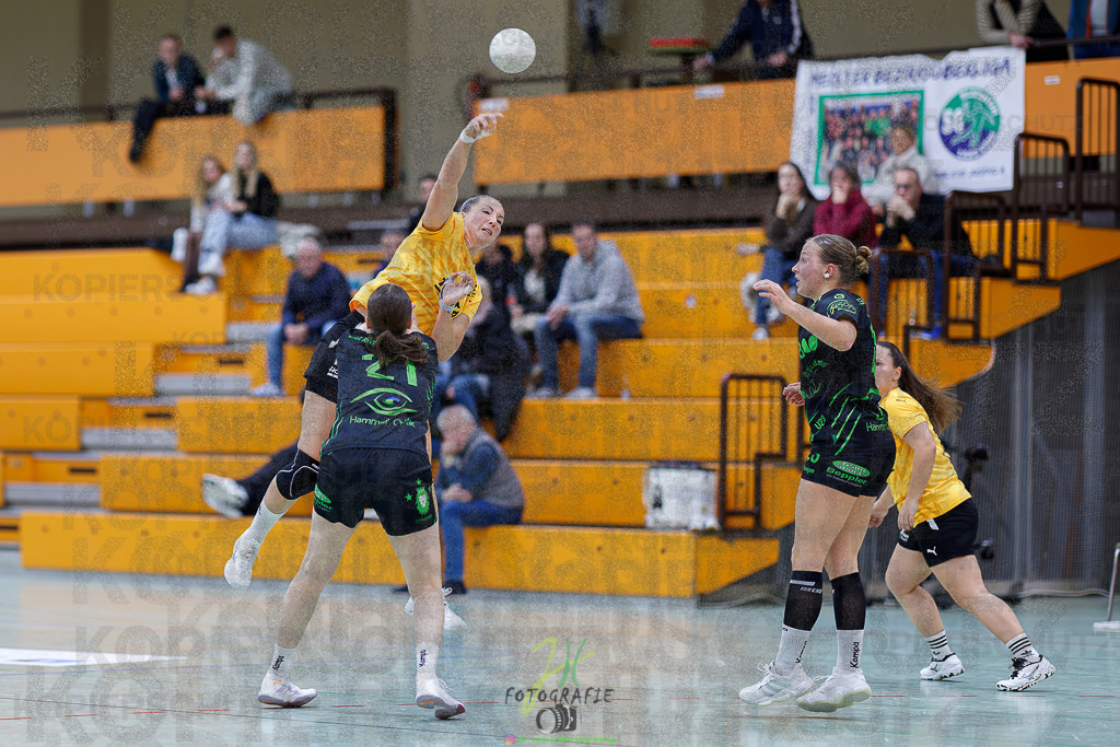 Frauen Oberliga Mitte (HHV); HSG Kleenheim/Langgöns II - HSG Eibelshausen/Ewersbach | Frauen Oberliga Mitte (HHV); HSG Kleenheim/Langgöns II - HSG Eibelshausen/Ewersbach am 01.11.2025 in Oberkleen (Weidig-Halle)Photo © 2025 - Jörg Heinrich - Realisiert mit Pictrs.com