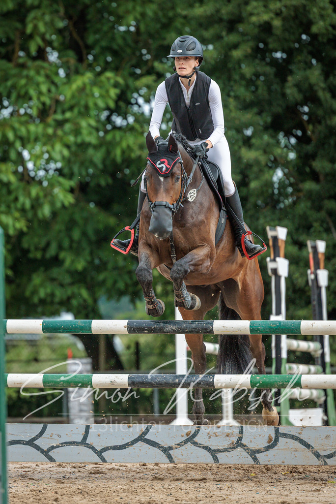 20260530-_3LI2779 | Tierfotografie Pferde, Hunde, Katzen, Haustiere.
Turnierfotografie Reitturniere, Reiten, Springreiten, Dressur in Hanau, dem Main-Kinzig-Kreis und dem Rhein-Main- Gebiet um Frankfurt