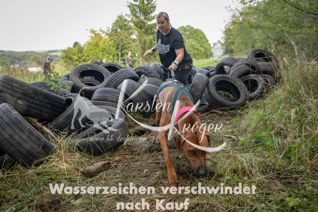 1510_ZZ91291-Bearbeitet | kk-dogfotos