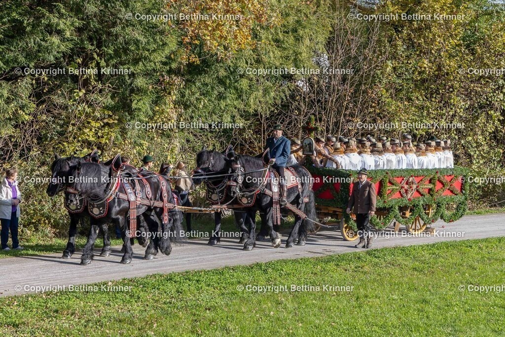 LBT24-383 | foto-bettina-krinner - Realisiert mit Pictrs.com