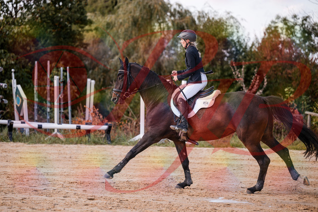 2026_10_03_Siefer-Hof_144050_Z81_12233300 | Professionelle Reitsport-, Turnier- und Eventfotografie von Robert Broda. Galerien mit ausgewählten und bearbeiteten Bildern direkt online ansehen und bestellen.