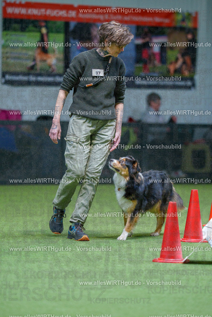 7R506032 | Professionelle Tierfotografie in Mönchengladbach von Daniel Wirth (allesWIRTHgut). Liebevolle & natürliche Bilder von Hunden & Katzen für unvergessliche Erinnerungen.