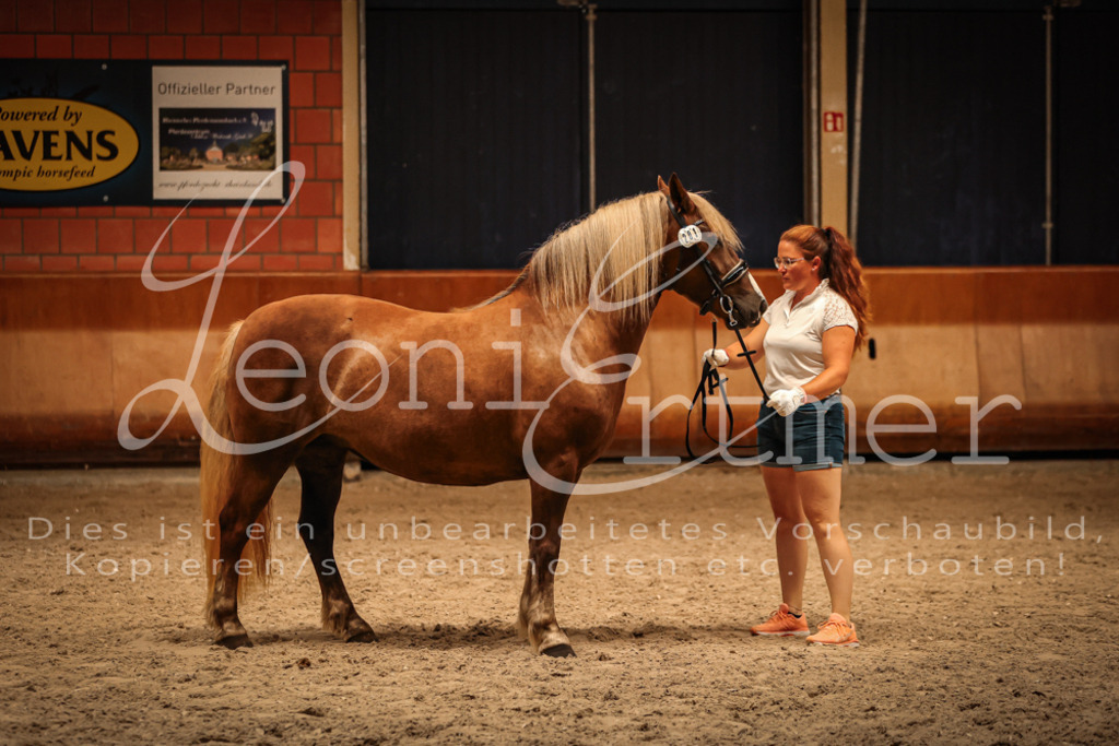 SaFL00420 | Leoni Ertmer Photography - Realisiert mit Pictrs.com