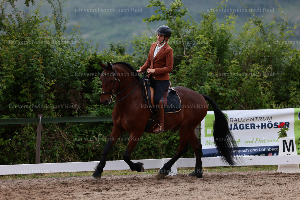 KlasseL_Stoibphotography_CAM21386.JPG | working equitationturnier fotograf videograf stoibphotography marixx film working equitation deutschland reitsport turnierfotografie eventfotografie equestrian events