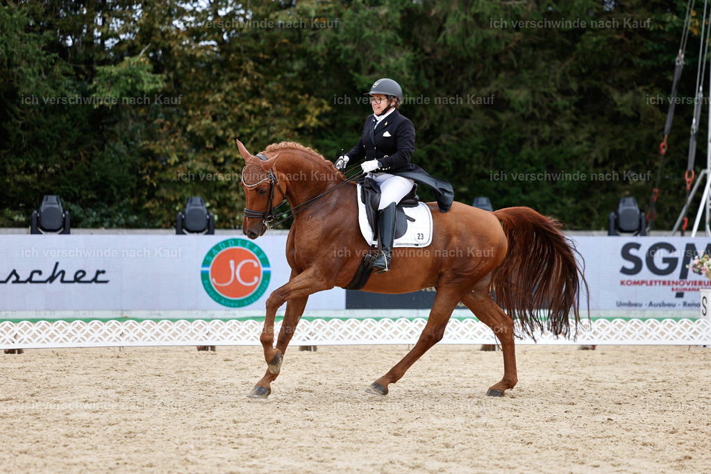 11-023-Dressur S___-StoibPH-1142 | working equitationturnier fotograf videograf stoibphotography marixx film working equitation deutschland reitsport turnierfotografie eventfotografie equestrian events