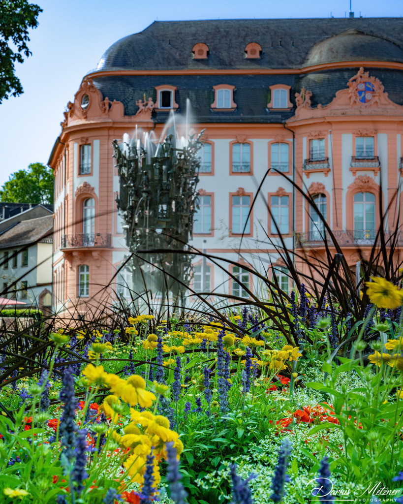 Der Fastnachtsbrunnen am Schillerplatz in Mainz | Der Osteiner Hof (1747 und 1752), der Fastnachtsbrunnen davor und das Blumenbeet am Schillerplatz. 
