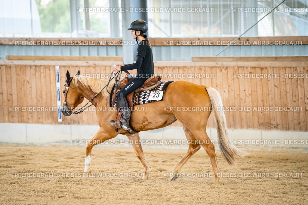 DSC09131 | Pferdegrafie