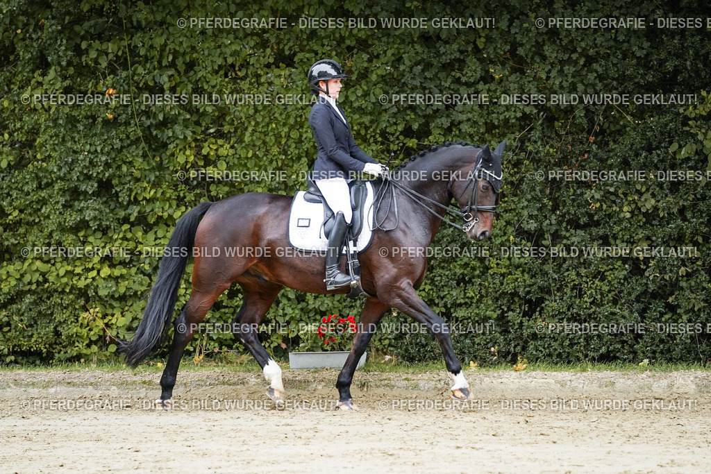 DSC09116 | Pferdegrafie