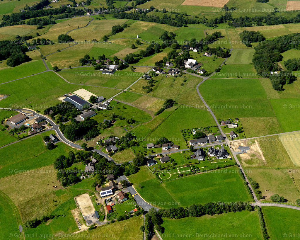 3120093 | Rindhausen