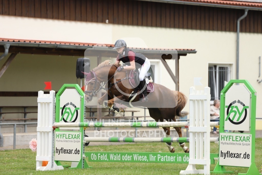 IMG_7388 | Pauline Ullmann Photography - Realisiert mit Pictrs.com