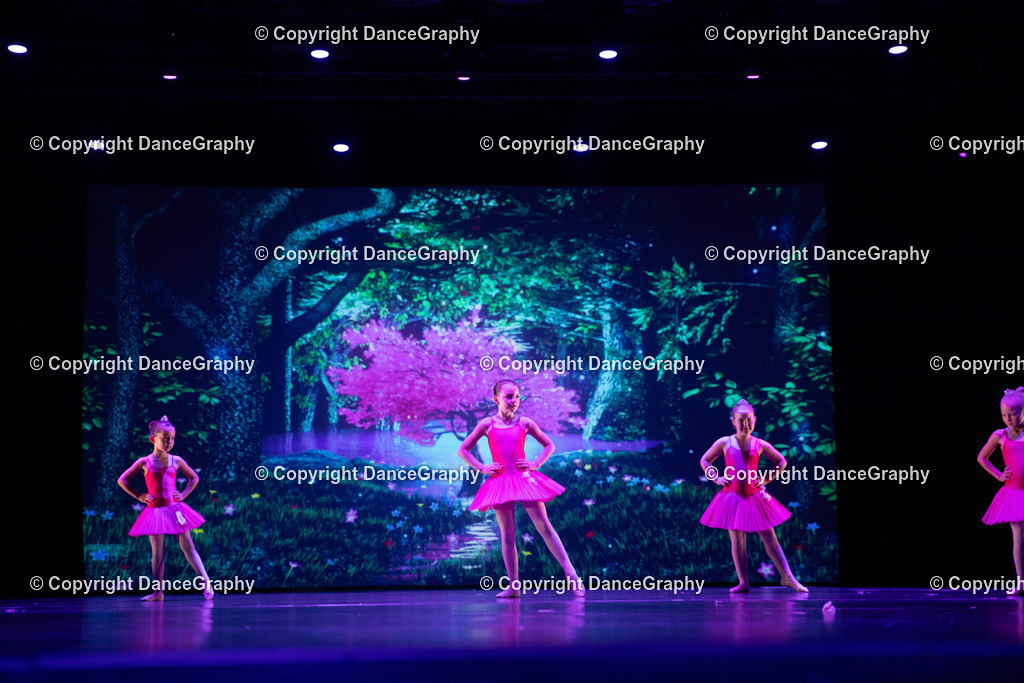 GPHY5018 | DanceGraphy - Realisiert mit Pictrs.com