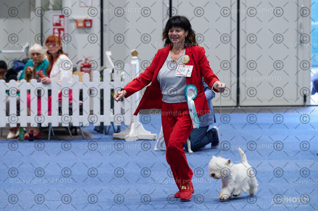 202406_ÖKV-IHA-Tulln24_DSC_3000 | proPHOTO - Realisiert mit Pictrs.com