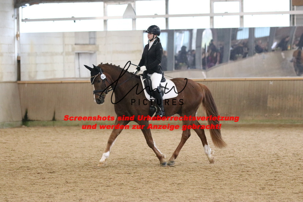 IMG_4322 | lmwpictures - Realisiert mit Pictrs.com