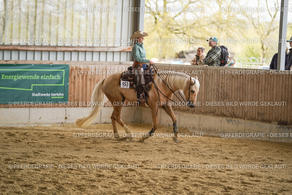 DSC09251 | Pferdegrafie