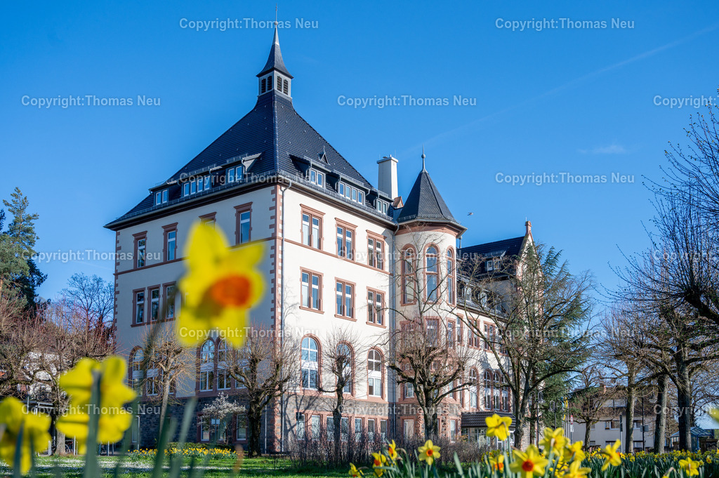 DSC_2273 | Bensheim, das Rathaus mit Frühlingsblumen im Vordergrund, Wikipedia:Der Gebäudekomplex des ehemaligen Bischöflichen Konvikts befindet sich nördlich vom Stadtzentrum an der Kreuzung Kirchbergstraße und Wilhelmstraße. Der Massivbau wurde 1899/1900 errichtet. Die Pläne dazu kamen von dem Mainzer Dombaumeister Ludwig Becker. Zuvor befand sich das Konvikt in der Darmstädter Straße 56.[3]

Erst zehn Jahre nach der Fertigstellung wurde das Gebäude verputzt und die Innenräume ausgeschmückt. Die Ursache für die späte Fertigstellung waren die hohen Baukosten. Auf Druck des Nationalsozialisten wurde das Konvikt 1939 geschlossen und zum Lazarett umfunktioniert. Nach Ende des Zweiten Weltkriegs wurde es bis 1949 als Unterkunft für Displaced Persons genutzt. Anschließend wurde das Schülerheim St. Bonifatius im ehemaligen Bischöflichen Konvikt untergebracht. Es wurde 1981 aus Kostengründen vom Ordinariat geschlossen. Die Stadt Bensheim erwarb den Gebäudekomplex und führte umfangreiche Umbauten im Inneren durch, damit der größte Teil der Verwaltung der Stadt aus dem Rodensteiner Hof in das neue Rathaus ziehen konnte. Die ehemalige Kapelle wird jetzt als Sitzungssaal genutzt.[3],, Bild: Thomas Neu