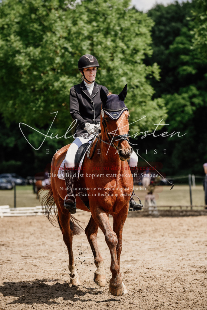 DSC_1560 | Pferde- und Turnierfotografie in Westsachsen. Pferdeportraits, Auftragszeichnungen und intuitive Kunst.