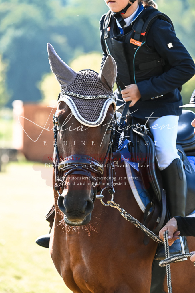 DSC_0530 | Pferde- und Turnierfotografie in Westsachsen. Pferdeportraits, Auftragszeichnungen und intuitive Kunst.