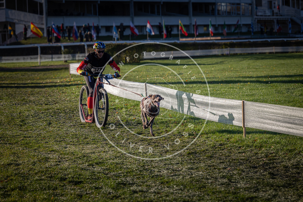 CaniXpix_0L8A3925 | Hundefotografie, Tierfotograf, Pfotenfotografie, Fotoshooting Hund, Hunde Portrait, Hundesport, Hundeportraits, Heideshooting, Hunde, Sportfotograf, Hundefotograf, Turnierhundsport, THS,  - Realisiert mit Pictrs.com