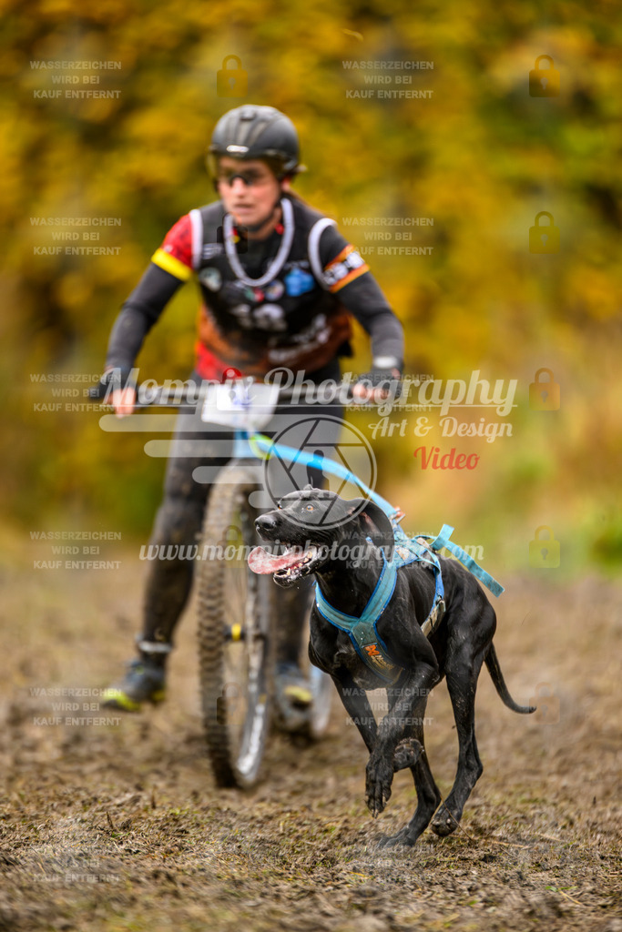 MompixPhotography_ICF_WC_2024_SA_DS_-33 | PayLife
