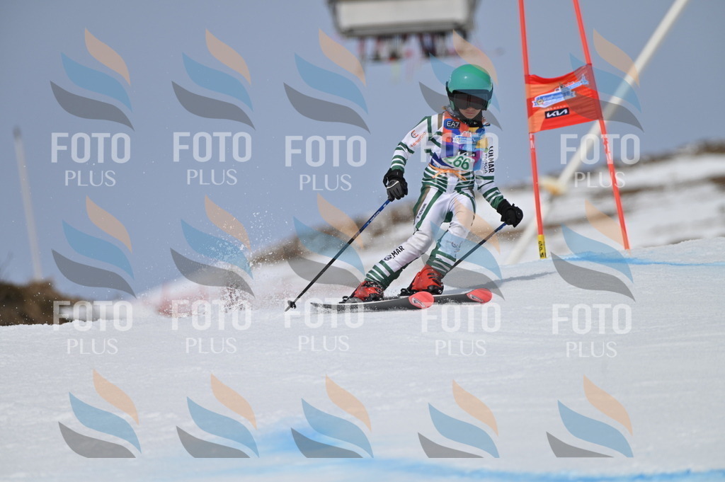 BGV_5279 | holidayphoto