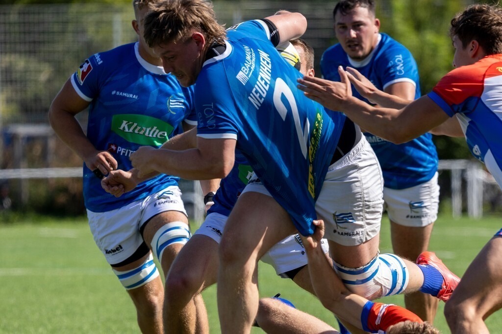 Rugby Bundesliga, Saison 2025/26, 1. Spieltag: Heidelberger Ruderklub 1872 gegen SC Neuenheim | Rugby Bundesliga, Saison 2025/26, 1. Spieltag: Heidelberger Ruderklub 1872 gegen SC Neuenheim - Realisiert mit Pictrs.com