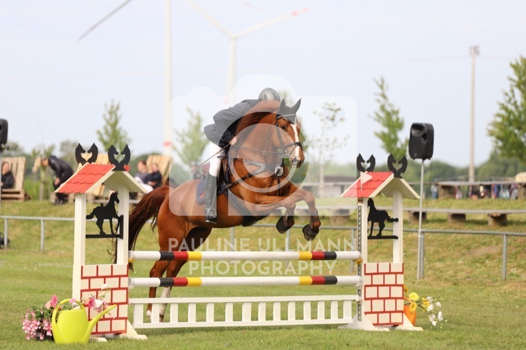 IMG_6954 | Pauline Ullmann Photography - Realisiert mit Pictrs.com