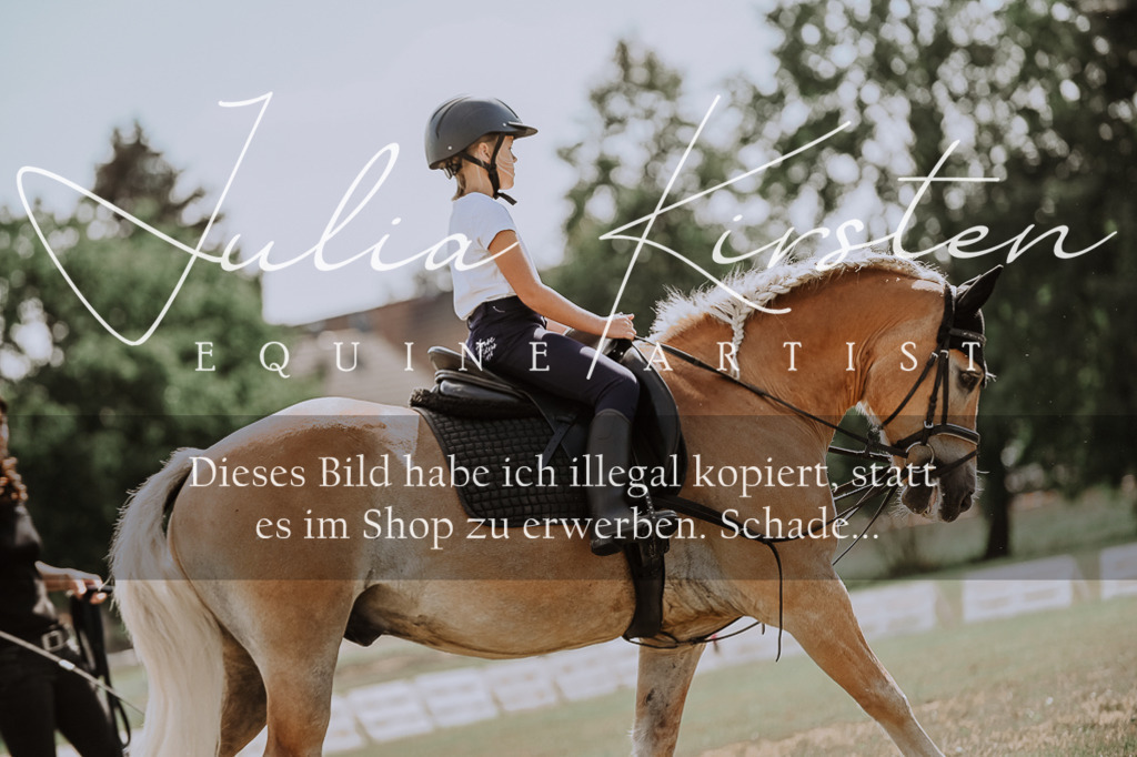 DSC_7655 | Pferde- und Turnierfotografie in Westsachsen. Pferdeportraits, Auftragszeichnungen und intuitive Kunst.