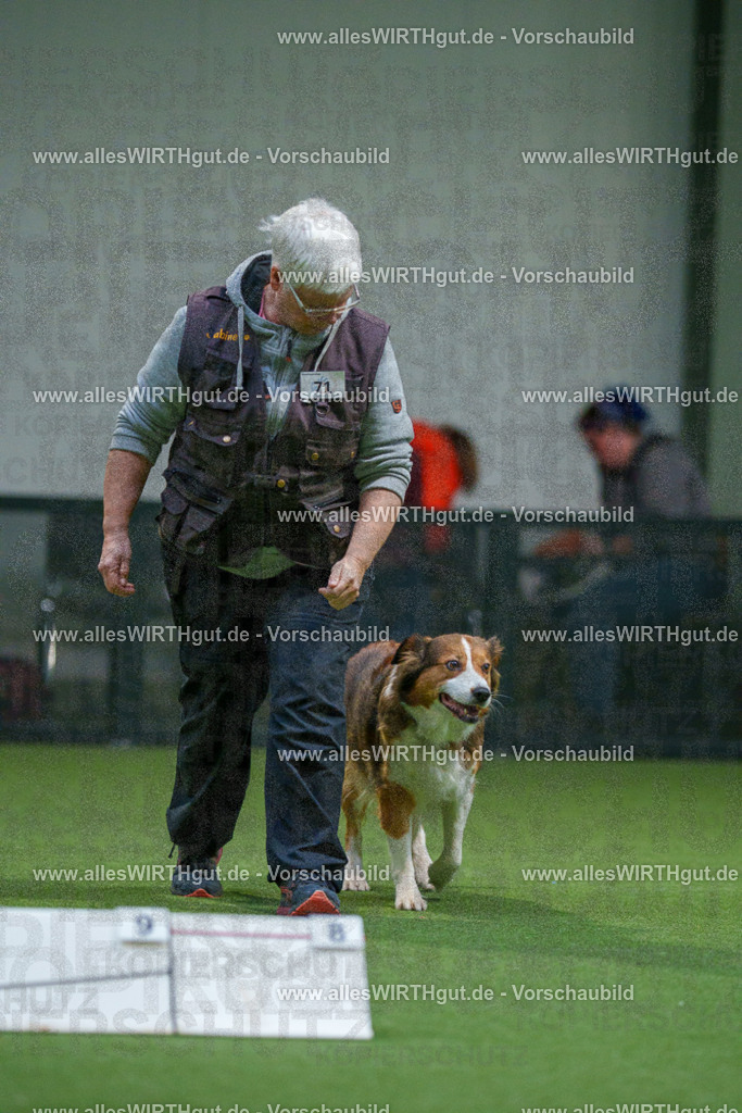 7R504070 | Professionelle Tierfotografie in Mönchengladbach von Daniel Wirth (allesWIRTHgut). Liebevolle & natürliche Bilder von Hunden & Katzen für unvergessliche Erinnerungen.