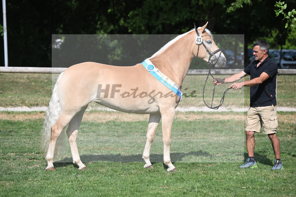 Kat-Nr. 43 Olena_Schuler_20231740 | hf-fotografie - Realisiert mit Pictrs.com