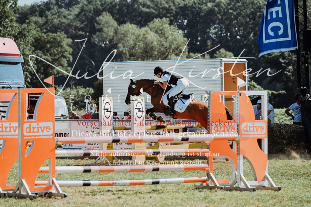 DSC_6150 | Pferde- und Turnierfotografie in Westsachsen. Pferdeportraits, Auftragszeichnungen und intuitive Kunst.