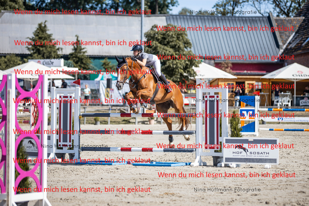 BK1A6990 | Turnierbilder Turnierfotos Nina Hüffmann Turnierfotografie Pferdefotografie Tierzeichnung Haustierzeichnung Pferdezeichnung Hundezeichnung Videograf  - Realisiert mit Pictrs.com