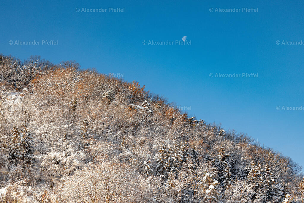 foto_c_pfeffel-partner-0140-R52_8251 | alexander-pfeffel - Realisiert mit Pictrs.com