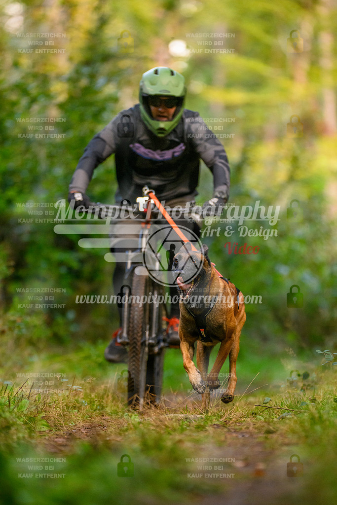 MompixPhotography_Yens2025_B1-23 | PayLife