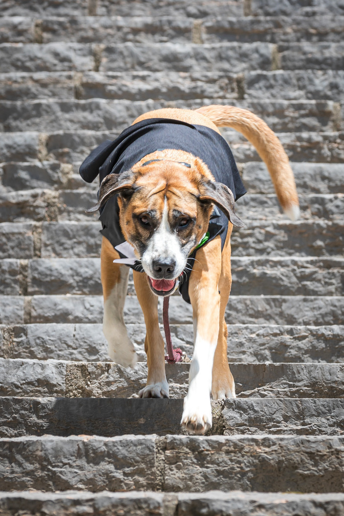 foto.9ers.at-108-PNG-1321 | Hochzeit, Portraits, Headshots, Food- und Immobilienfotografie in Tirol. 360°, Drohne und mehr. Kontaktieren Sie mich einfach via Mail per foto@9ers.at - Realisiert mit Pictrs.com