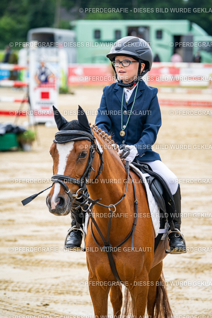 DSC06546 | Pferdegrafie