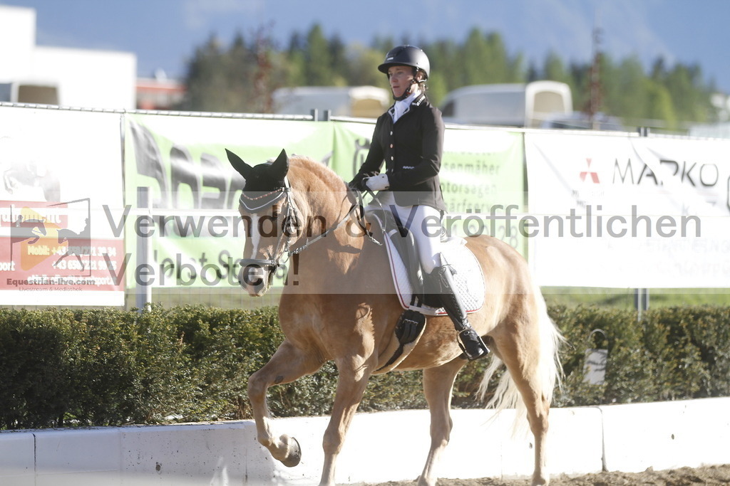 _MG_4384 | equestrian-live-com
