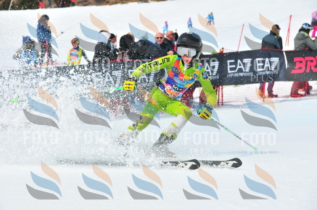 DSC_6654 | holidayphoto