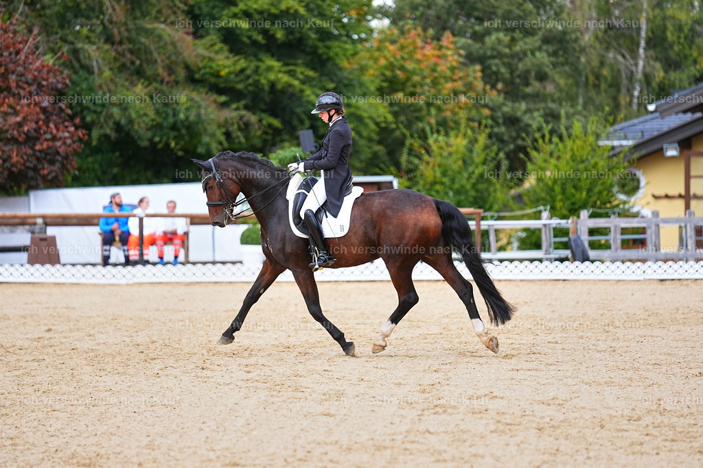 8_1-099-Klasse S_  -Marixx-4168 | working equitationturnier fotograf videograf stoibphotography marixx film working equitation deutschland reitsport turnierfotografie eventfotografie equestrian events