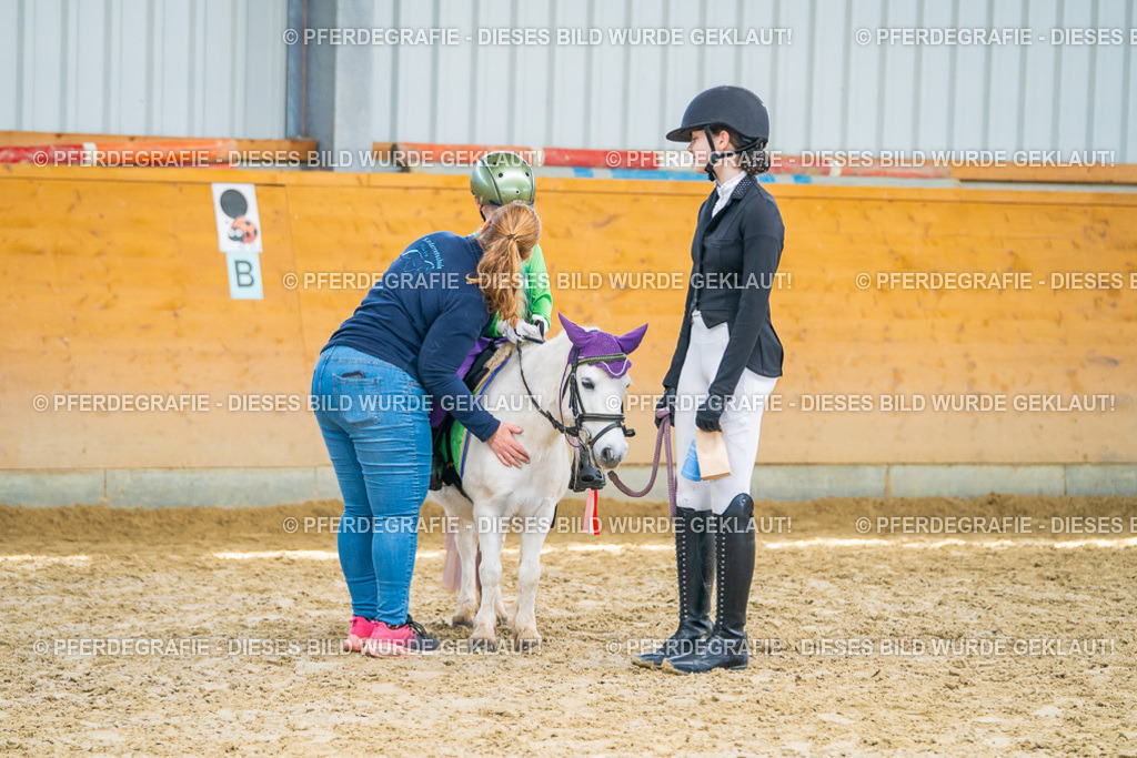 DSC00391 | Pferdegrafie