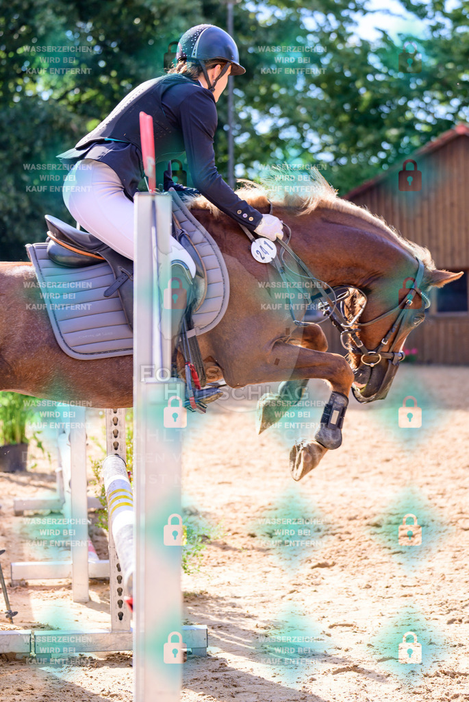 30082026-Giesenbach-Prfg16-0650 | Fokus Hufschlag Fotografie - Realisiert mit Pictrs.com